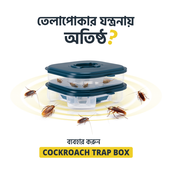 Cockroach Trap Box - বাক্স আকৃতির তেলাপোকার ফাঁদ - বিষ ছাড়া তেলাপোকা মারার ফাঁদ - Image 9
